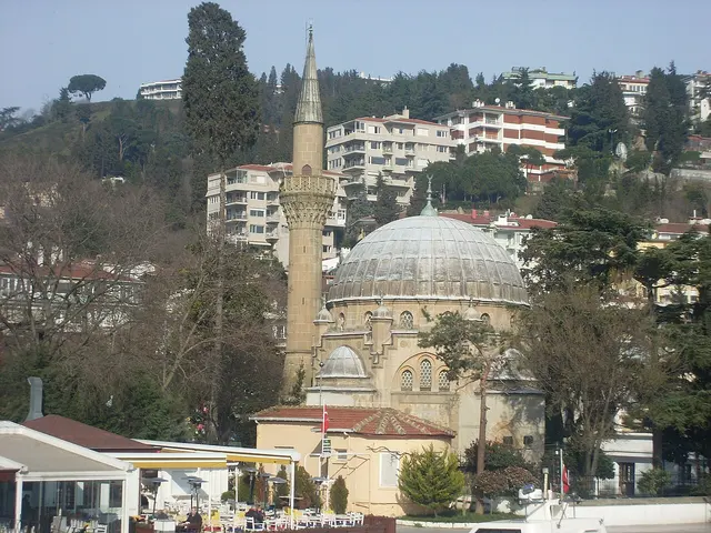 Bebek Cami